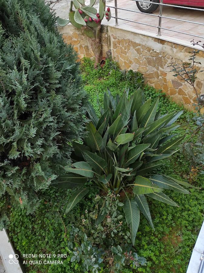 Glaros Beach Apartment Kato Daratso Dış mekan fotoğraf
