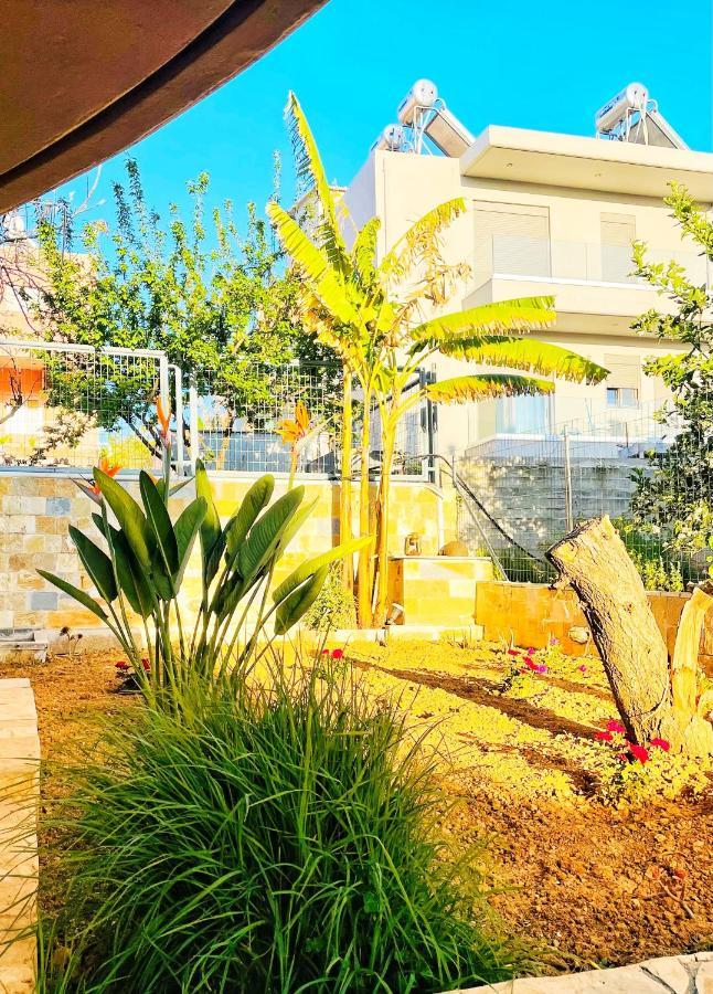 Glaros Beach Apartment Kato Daratso Dış mekan fotoğraf