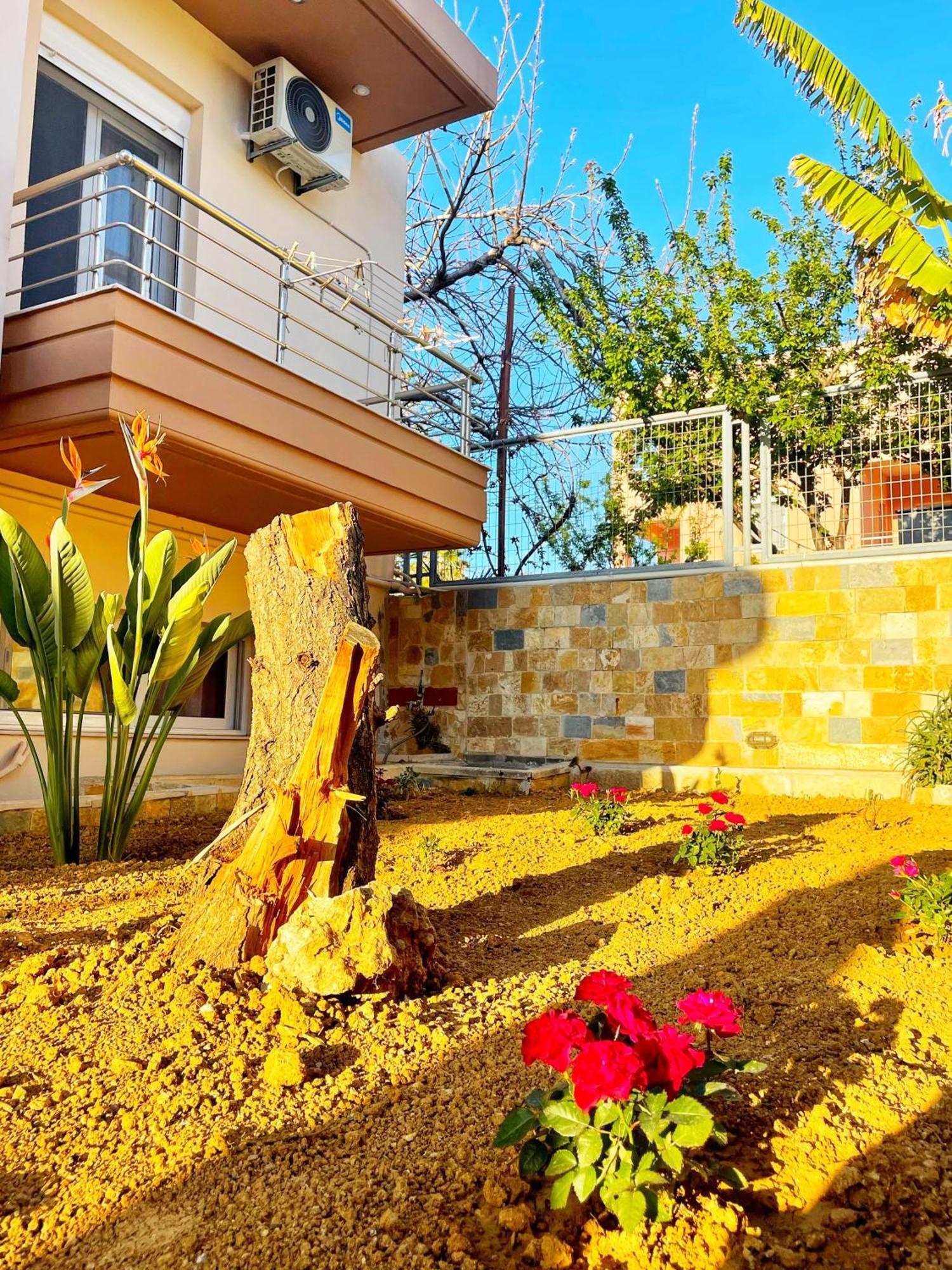 Glaros Beach Apartment Kato Daratso Dış mekan fotoğraf
